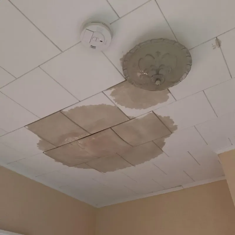 Ceiling Water Damage Repair in Olive Branch, MS