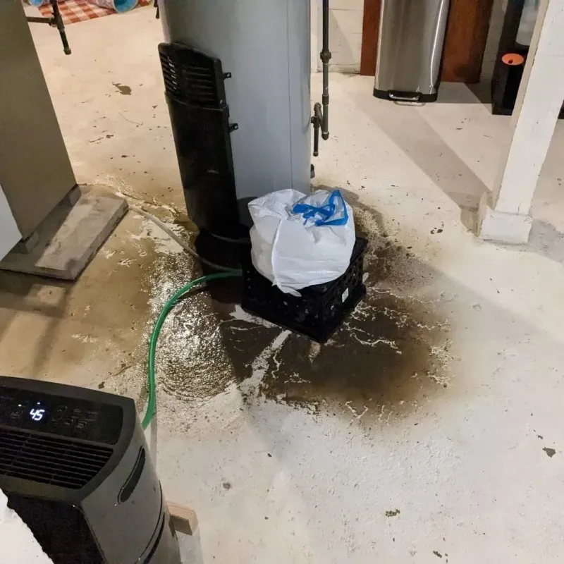 Sewage Backup Cleanup Service in Olive Branch, MS